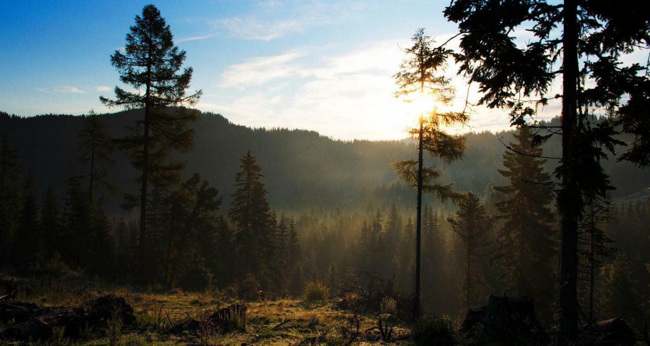 Rainbachhuette-Waldgut Granig Villa Glodnitz Esterno foto