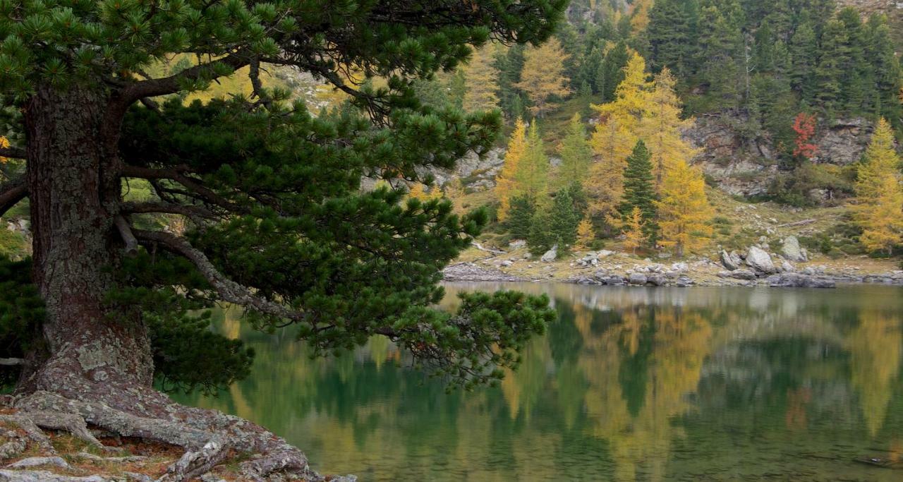 Rainbachhuette-Waldgut Granig Villa Glodnitz Esterno foto